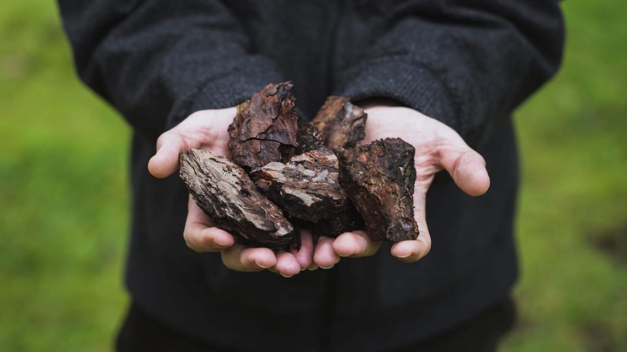 Evolgene Revoluciona el Futuro del Etanol 2G: Tecnología Sostenible para Combustibles de Aviación