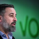 Abascal ve "desolador" que el PP vote junto a Sánchez "cuando está en dificultades" y defiende a Vox como la alternativa