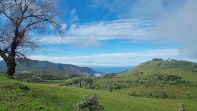 Irlanda en Canarias: un sendero mágico rodeado de paisajes verdes y vistas impresionantes