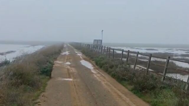 El agua del Guadiamar vuelve a inundar marismas de Doñana