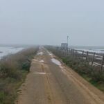 El agua del Guadiamar vuelve a inundar marismas de Doñana