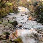 Río Lagares. 