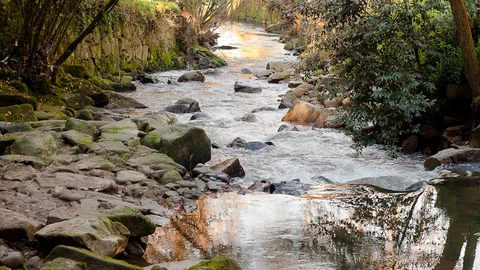 Río Lagares.