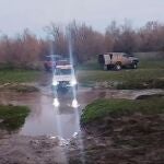 Concentración ilegal de vehículos 4x4 en Doñana