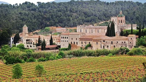 Monestir de Santes Creus (Aiguamúrcia)