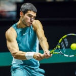 Carlos Alcaraz - Andrea Vavassori, en directo hoy: ATP Rotterdam 2025, en vivo online