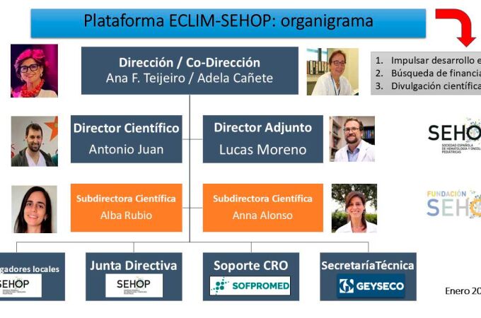 Organigrama de la Plataforma Eclim-SEHOP para potenciar y facilitar la participación de España en ensayos clínicos fase III y en registros internacionales para tumores malignos pediátricos.