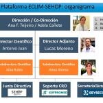 Organigrama de la Plataforma Eclim-SEHOP para potenciar y facilitar la participación de España en ensayos clínicos fase III y en registros internacionales para tumores malignos pediátricos.