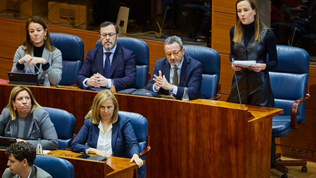 Primero pleno del año 2025 en la Asamblea de Madrid. Grupo Parlamentario Vox © Alberto R. Roldán / Diario La R