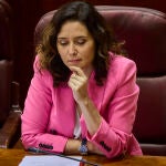 Isabel Díaz Ayuso, en la Asamblea de Madrid