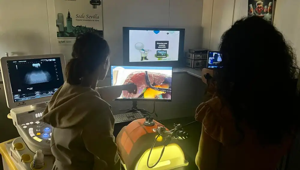 Alumnos realizando una ecografía laparoscópica hepática en entorno simulado de cirugía intraoperatoria sobre un modelo 3D hepática anatómico