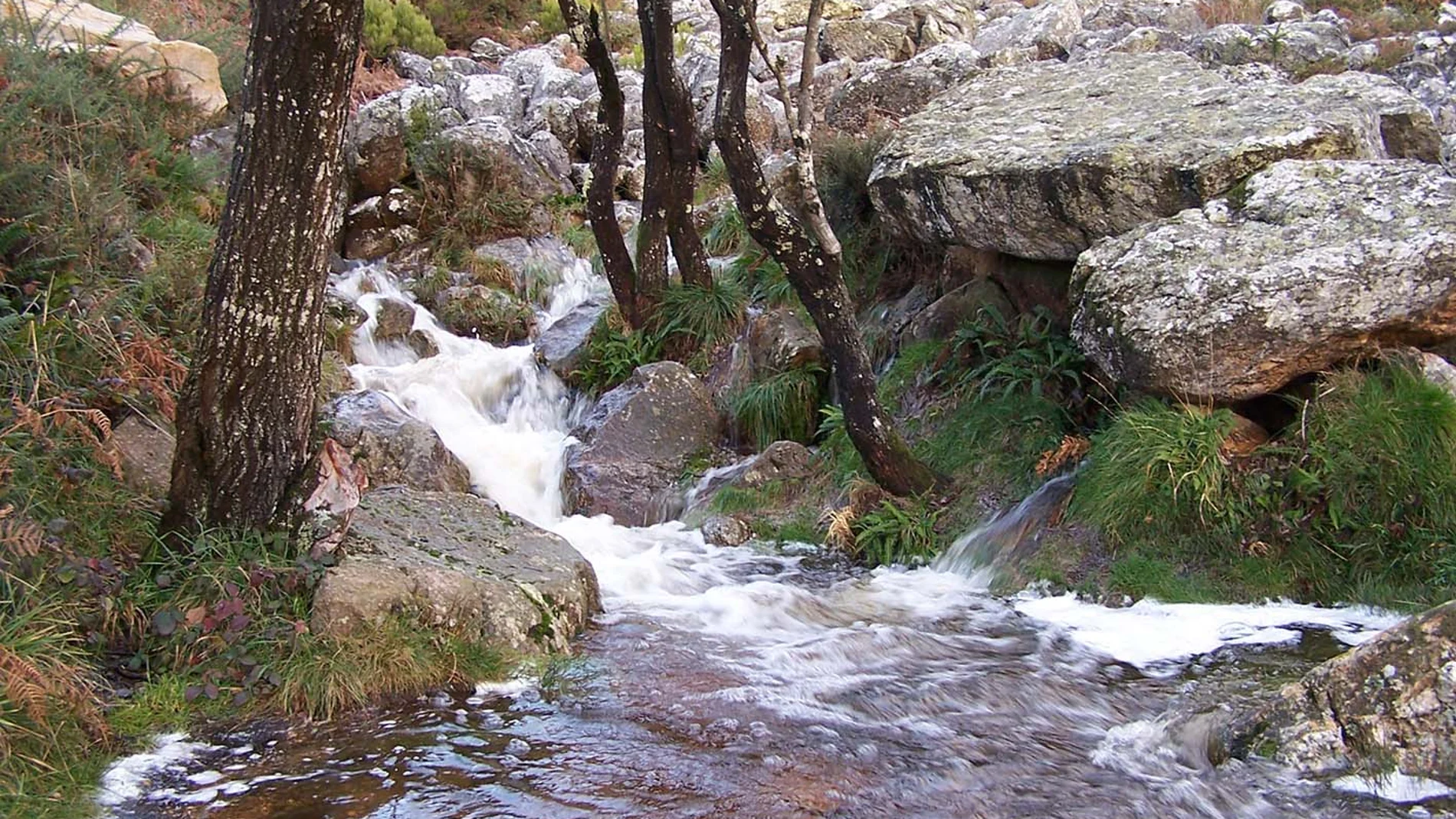 Fin del debate: aquí nace realmente el río Miño