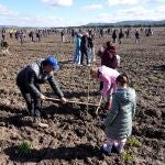 La familia de Abadía Retuerta renaturaliza la finca agrícola en homenaje a los monjes de crearon el espacio