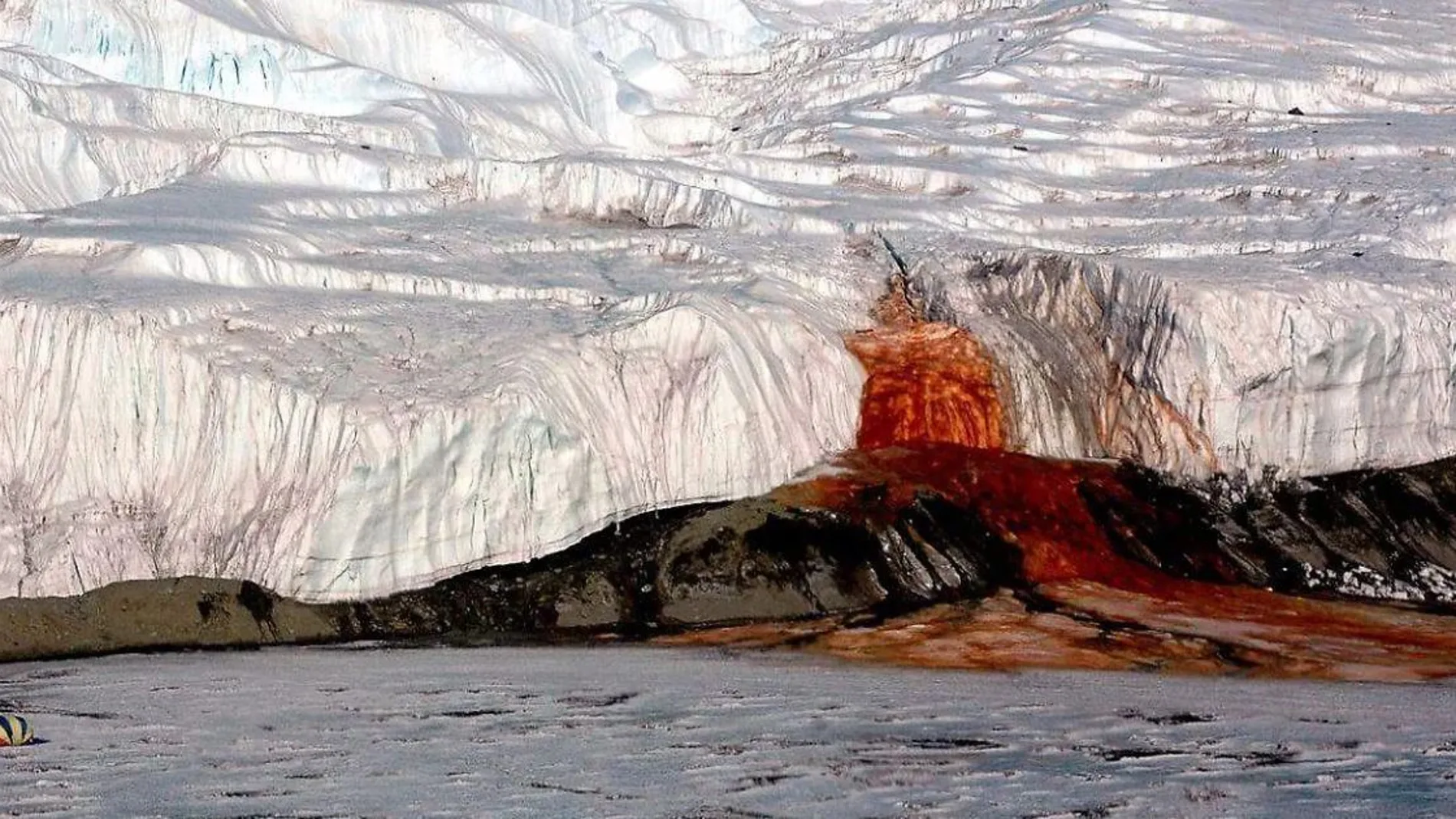Las Cataratas de sangre son un fenómeno único en la Antártida en el que cascadas de color rojo cae entre el hielo y el glaciar del continente helado
