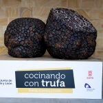 Soria: el epicentro de la gastronomía de la trufa con el V Concurso Cocinando con Trufa