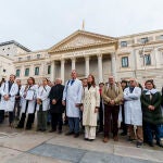 Médicos se concentran frente al Congreso de los Diputados para reclamar un estatuto médico propio que mejore l