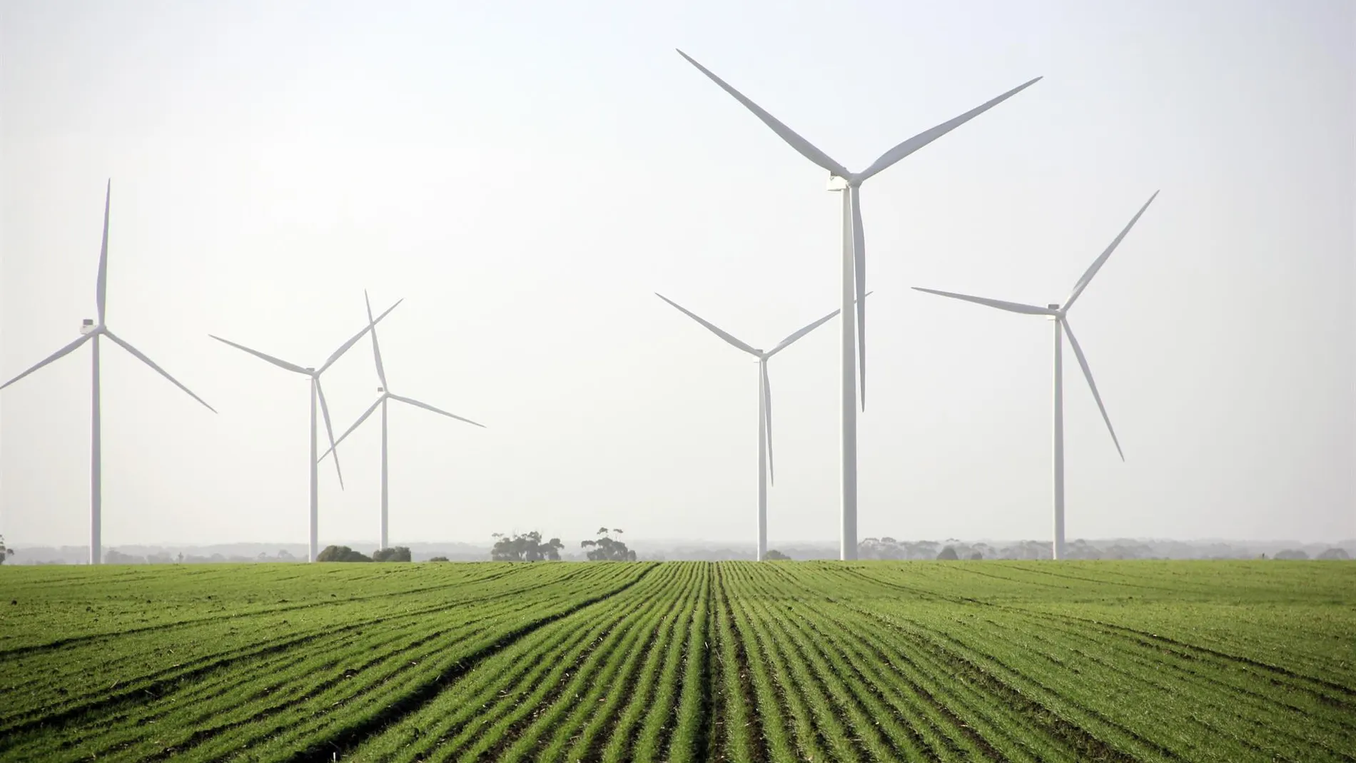 Economía.- El BEI y Santander se unen con el objetivo de movilizar hasta 8.000 millones de inversión en energía eólica