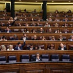 Pleno del Congreso de los Diputados