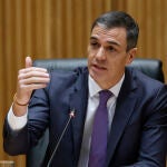 El presidente del Gobierno y secretario general del PSOE, Pedro Sánchez