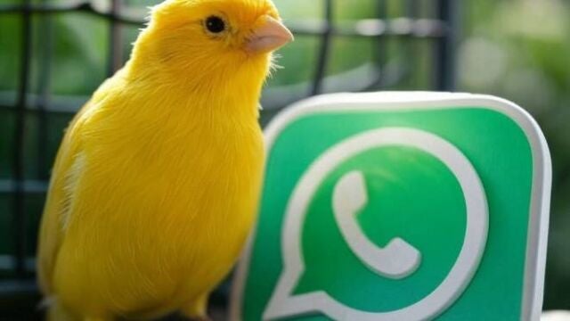 Qué es el ‘modo canario’ de WhatsApp y cómo activarlo en tu móvil.