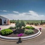 Palacio de Los Olivos: nº1 del ranking mundial de aceites por octavo año consecutivo