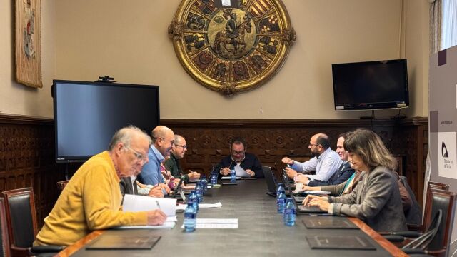 Comisión de Desarrollo de la Diputación de Soria