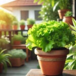 Las 15 mejores plantas para tener un jardín comestible en casa: apenas requieren cuidados