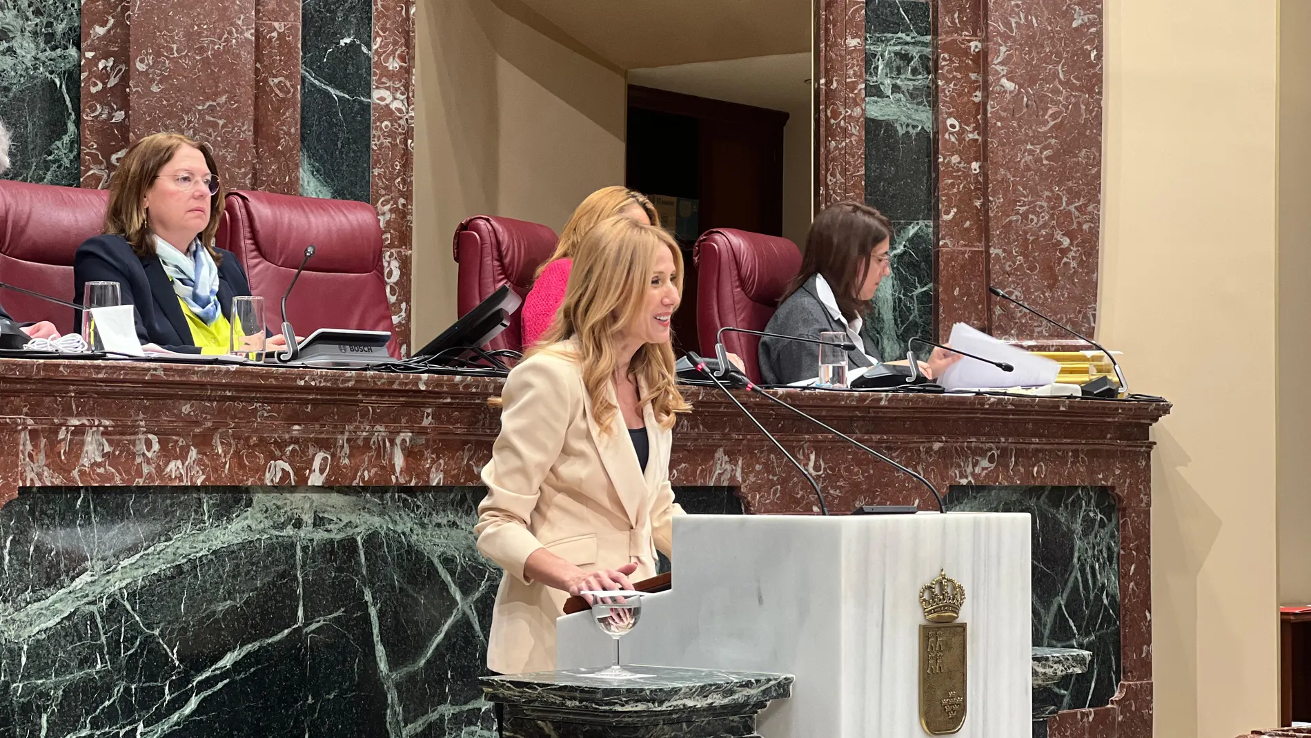 La consejera de Empresa, Empleo y Economía Social, Marisa López Aragón, durante su comparecencia de hoy en la Asamblea Regional