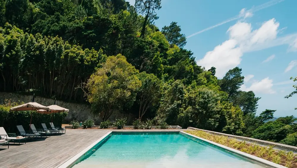 Su piscina exterior, rodeada de vegetación, es otra de las grandes bazas del hotel