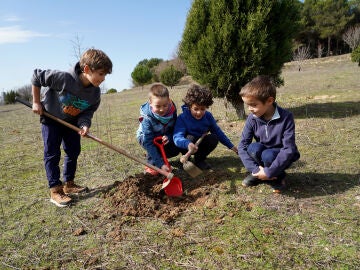 La Asociación de Madres y Padres de Alumnos (AMPA) del CEIP María Teresa Íñigo de Toro realiza una plantación para pedir la mejora del entorno escolar del centro, tras la recogida de firmas realizada durante la semana