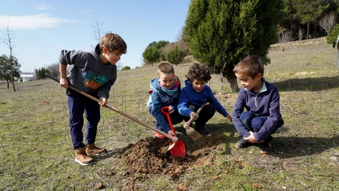 La Asociación de Madres y Padres de Alumnos (AMPA) del CEIP María Teresa Íñigo de Toro realiza una plantación para pedir la mejora del entorno escolar del centro, tras la recogida de firmas realizada durante la semana
