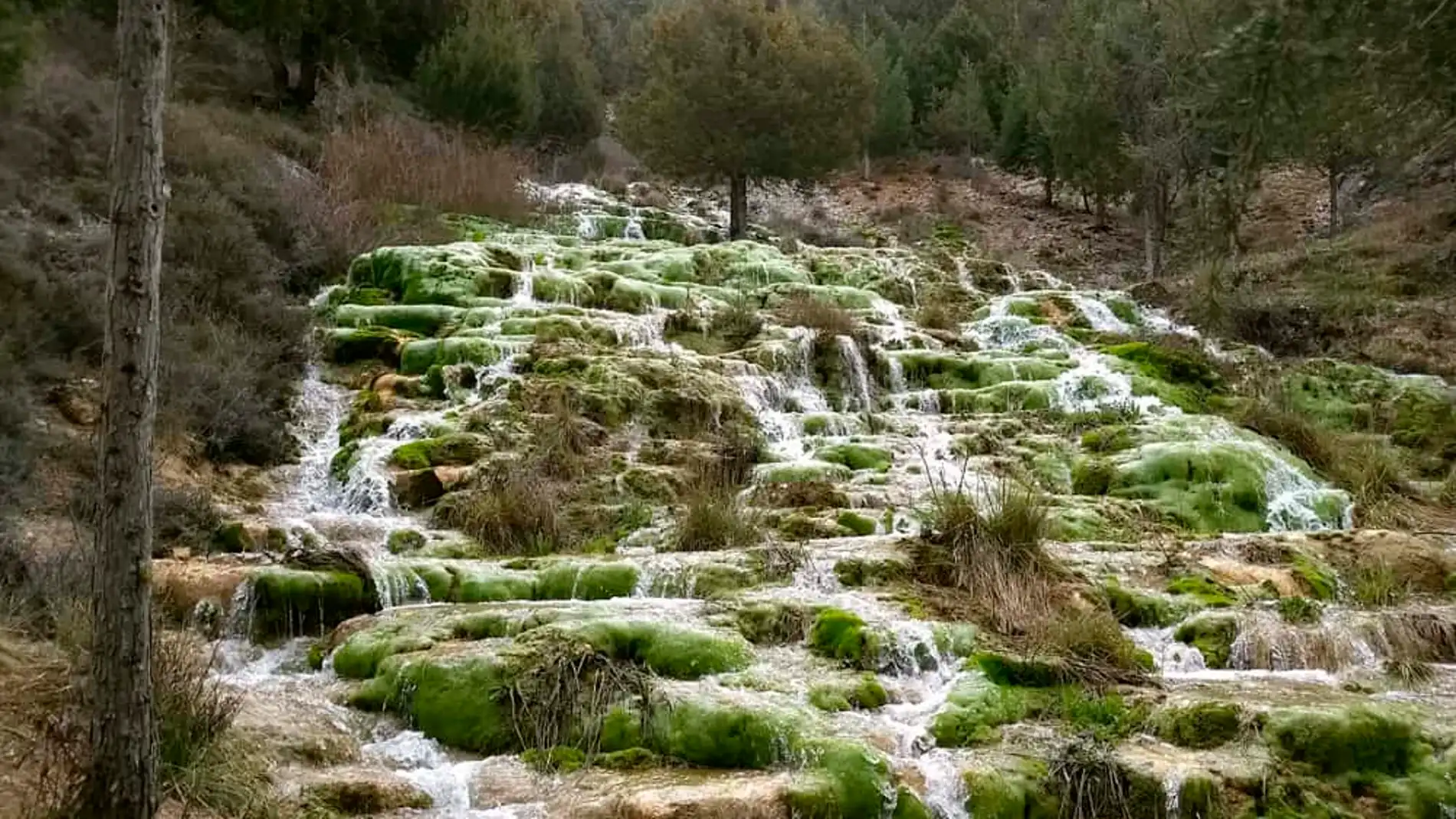 Chorrón de Cabrejas del Pinar