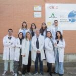 Sevilla.-Un estudio liderado por la UPO identifica nuevos mecanismos celulares en la esclerosis múltiple