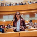 Mónica García culpa a los gobiernos del PP de lastrar el "buen hacer" del Sistema Nacional de Salud