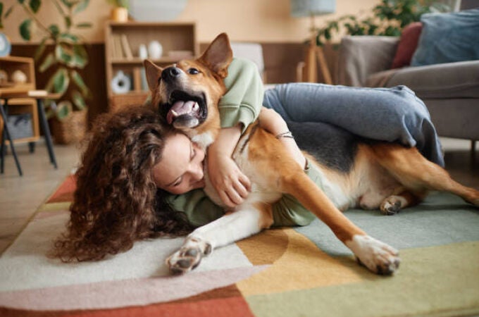 Un perro jugando con su dueña 