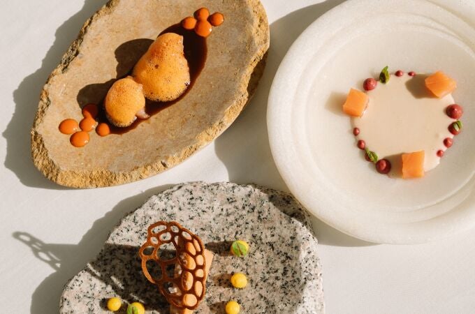 Palacio Arriluce : Menú degustación Beñat Ormaetxea : salmón marinado, foie micuit y gambero Rosso