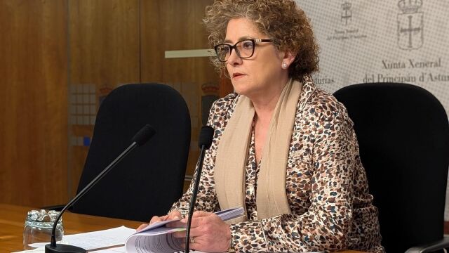 ASTURIAS.-García (PP) exige a Barbón que actúe ante el silencio de Espina sobre la "grave" situación de la Inspección educativa