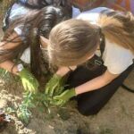 La Diputación de Zamora continúa con su programa de Huertos Escolares