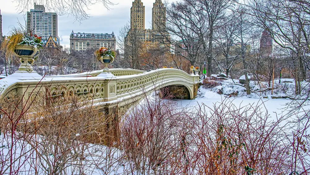Central Park cubierto de nieve. Nueva York