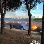 Apagan un incendio sin heridos en el Parque Lineal de Burtarque de Leganés