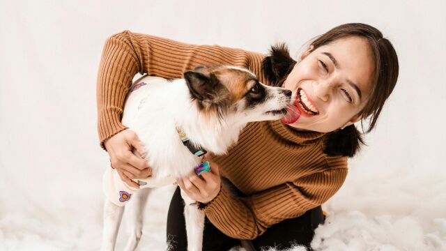 ¿Qué significa que te lama tu perro? No es lo que te imaginas