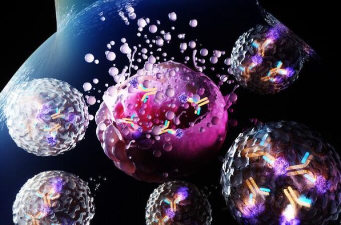 Representación en 3D de un anticuerpo-toxina conjugado que ataca una célula cancerosa