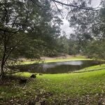 Una de las balsas de la finca Los Mimbrales