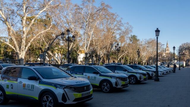 Vehículos de la Policía Adscrita andaluza frente el Palacio de San Telmo, en Sevilla