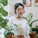 Las 10 plantas de interior que necesitan poca luz y son fáciles de cuidar: perfectas para gente despistada