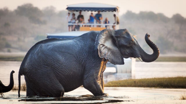 Safari turístico 