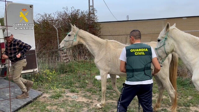 La Guardia Civil durante la intervención