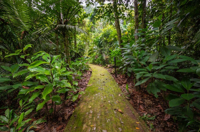 PARQUE NACIONAL DE YANUSI, ECUADOR
