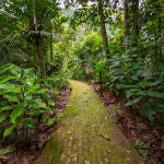 PARQUE NACIONAL DE YANUSI, ECUADOR