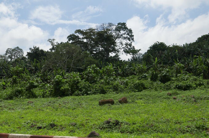 Guinea Ecuatorial
